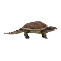 Tortue serpentine 3d isolée png