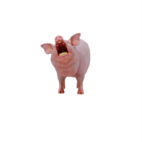 3d maiale isolato png