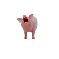 cochon 3d isolé png