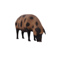 mud pig isolated png