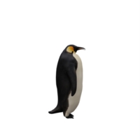 3d pinguino isolato png