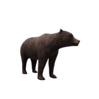 3d orso isolato png