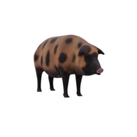 cerdo de barro aislado png