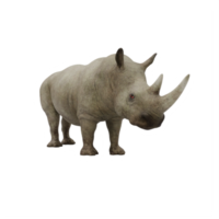 rinoceronte 3d aislado png