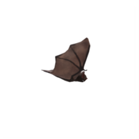 3d Bat isolated png