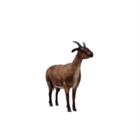 3d capra isolato png