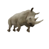 3d rinoceronte isolato png