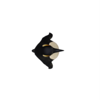 3d pinguino isolato png