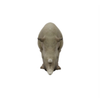 3D-Nashorn isoliert png