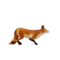 3d Fox isolated png