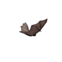 3d Bat isolated png