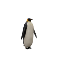 3d pingvin isolerat png