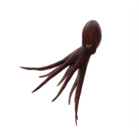 3d octopus isolated png