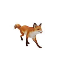 3d Fox isolated png