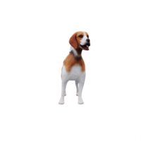 beagle abbaiare carino cane png