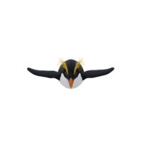 Erect crested penguin isolated png