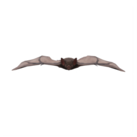 3d Bat isolated png