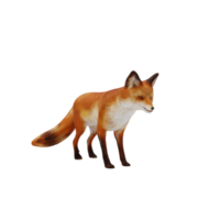 3d Fox isolated png