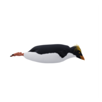 erigierter Pinguin mit Haube isoliert png