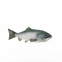 salmão 3d isolado png