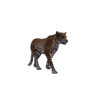 3D-Leopard isoliert png