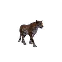 leopardo 3d isolado png