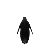 pingouin 3d isolé png