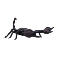 scorpion 3d isolé png