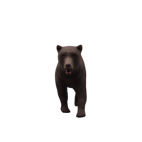 ours 3d isolé png