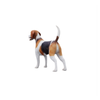 cão bonito da casca de beagle png