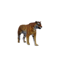 3D-Tiger isoliert png