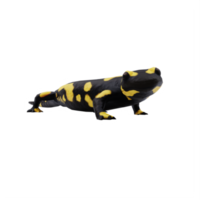 salamandra de fuego aislado png