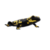 salamandra de fuego aislado png