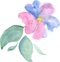 Watercolor fantasy flower with green leaves and blue vilolet blossoms png