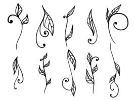 Doodle leaf with swirl set, floral motifs for design vector