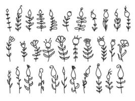 Set of linear doodle plants with flowers and berries, stylized herbs for design vector