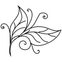 twig with leaves and swirls, a simple leafy element for decoration vector