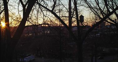 Sonnenuntergang durch Bäume in Richmond, Virginia video