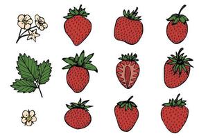 Vector set of strawberry clipart. Hand drawn berry icon. Fruit illustration. For print, web, design, decor, logo.
