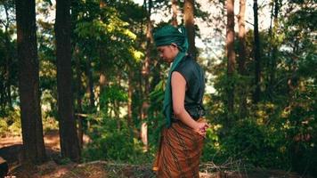 An Asian man with a stick in a green dress walking lonely while visiting the forest near the village video