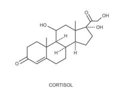 Cortisol hormone icon. Hydrocortisone chemical molecular structure vector