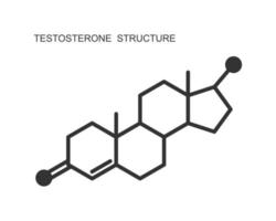 icono de testosterona. estructura molecular química. signo de hormona sexual esteroide aislado sobre fondo blanco. concepto de terapia de reemplazo vector