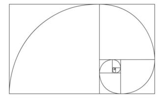 Golden ratio sign. Logarithmic spiral in rectangle. Nautilus shell shape. Leonardo Fibonacci Sequence. Ideal nature symmetry proportions template. Mathematics symbol vector