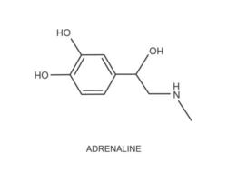 Adrenaline icon. Epinephrine hormone produced by the adrenal gland. Chemical molecular structure vector