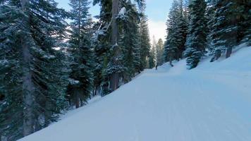 POV-Schuss beim Skifahren auf einer Anfängerpiste video