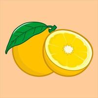 Simple orange fruit vector sliced