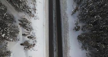 auto's het rijden naar beneden weg in Colorado bergen video