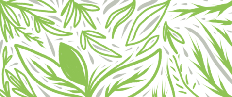 fundo de design de papel de parede de folhas tropicais png