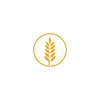 icono de vector de plantilla de logotipo de trigo de agricultura