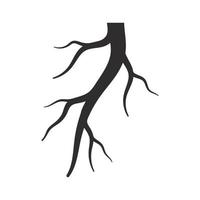 Root vector illustration template